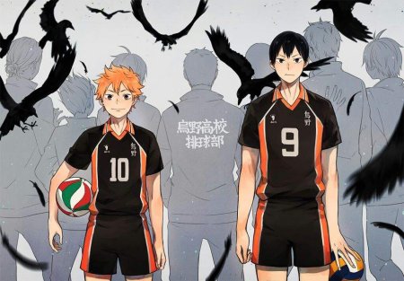 Карасуно волейбол Хината