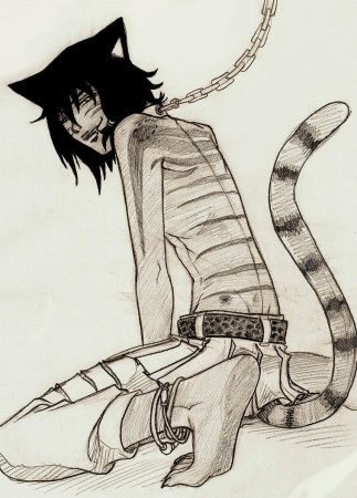 Человек кот рисунок