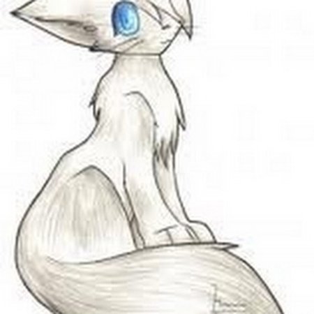 Аниме коты для срисовки карандашом