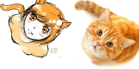 Кошка в стиле аниме