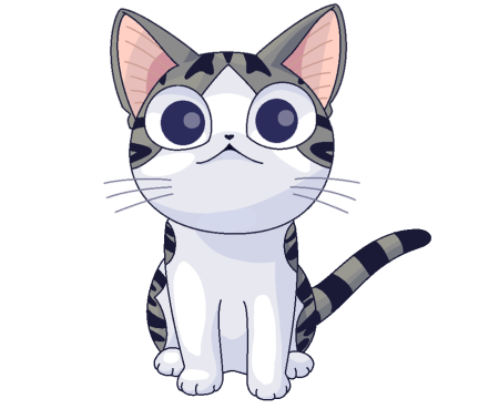 Котик Чии