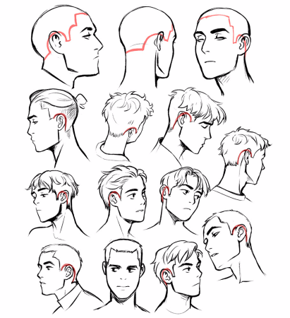 Голова сзади референс