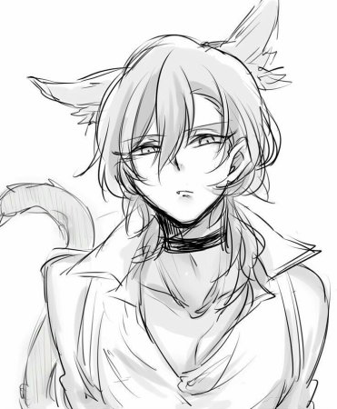 Аниме неко кун