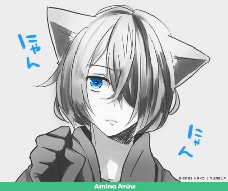 Себастьян Михаэлис кот