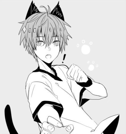 Чуя Накахара неко