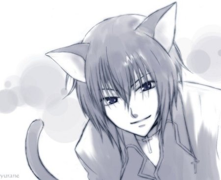 Неко парень