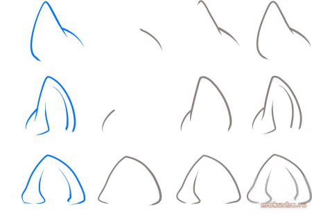 Ушки котика вид сбоку