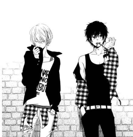 Два мальчика аниме