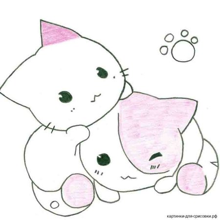 Рисунки для срисовки лёгкие котики