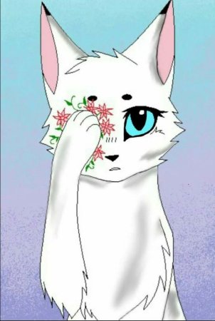 Коты Воители Белогривка