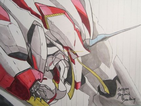 Стрелиция Франкс