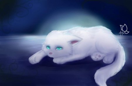 Белая кошка с голубыми глазами арт