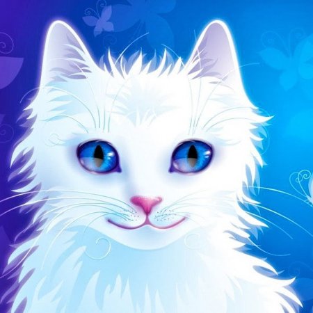 Белая кошка арт