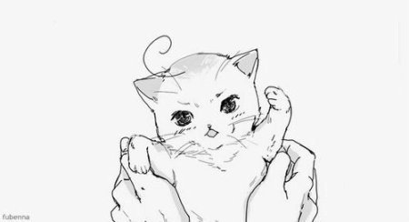 Котики аниме манги