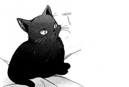 Кошка Манга
