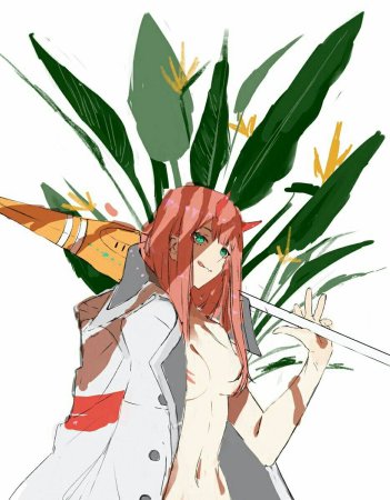 Стрелиция апос Франкс