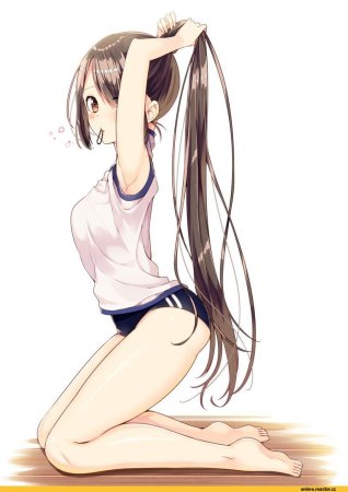 Спортивные девушки аниме с формами