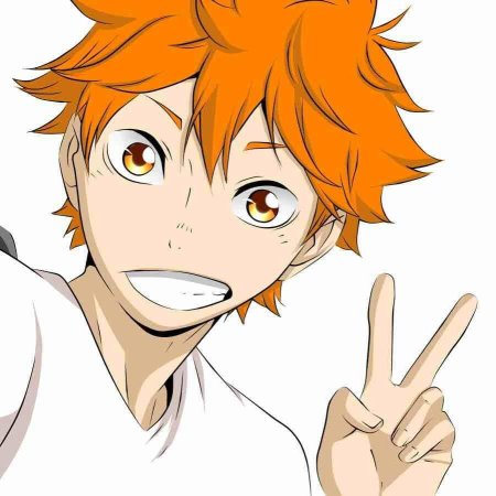 Хината шоё лёгкая