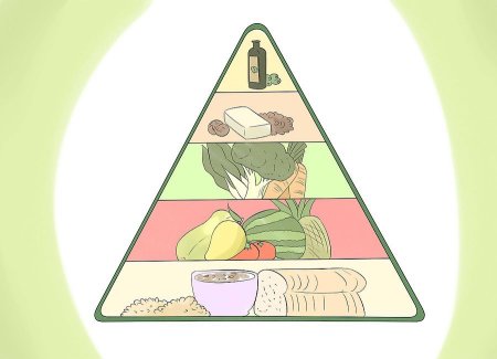 Рациональное питание арт