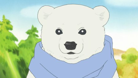 Медвежонок аниме