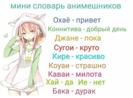 Словарь АНИМЕШНИКА