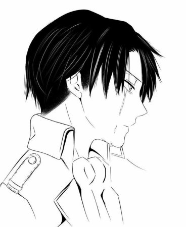 Леви Аккерман