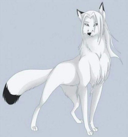 Белая волчица аниме