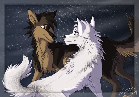 Аниме про Волков