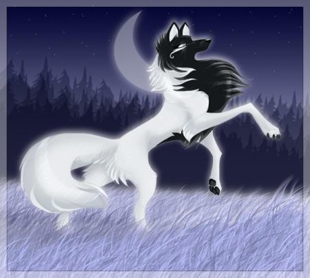 Волки Воители Луна