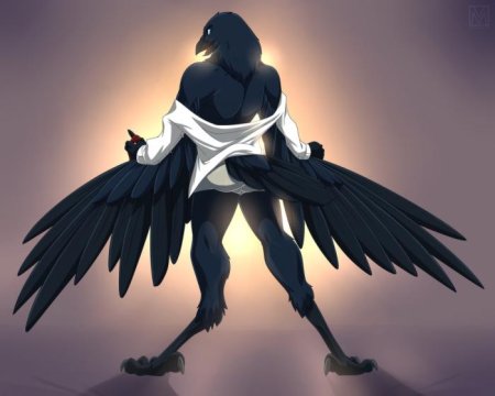 Furry avian ворон