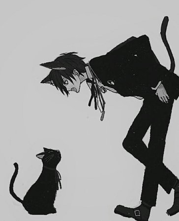 Аниме кот