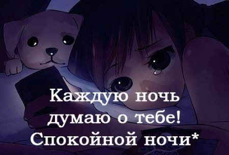 Аниме ночь