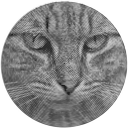 Spiroglyphics аниме