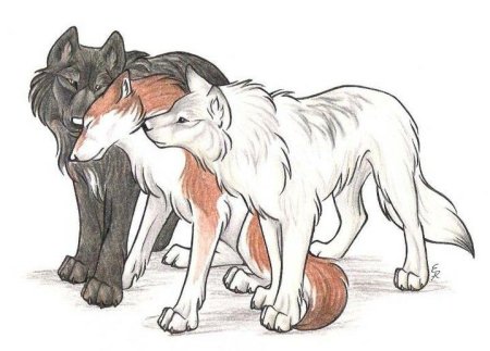 WILDSPIRITWOLF волки