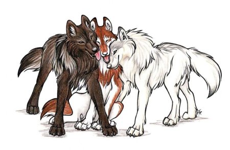 WILDSPIRITWOLF рыжий волк
