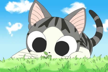 Аниме котик Чии