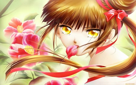 Принцесса-вампир Мию