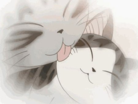 Котики любовь аниме