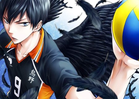 Волейбол аниме каигияма