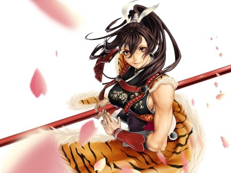 Варриорс аниме