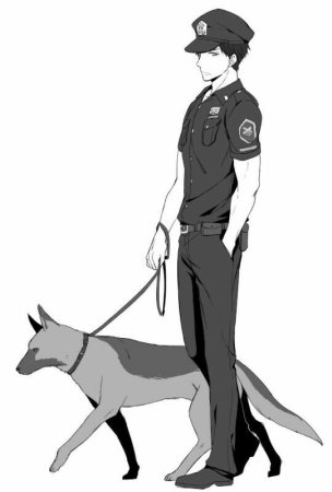 Полиция арт