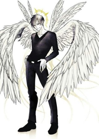 Аниме парень с крыльями