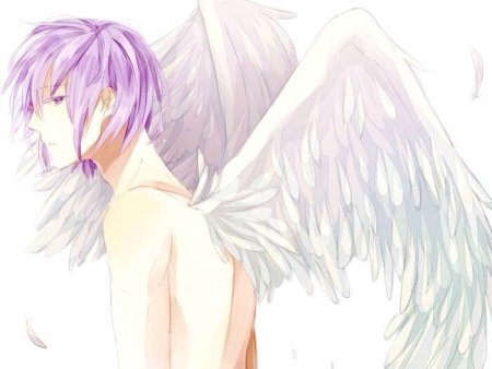 Аниме Крылья