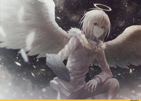 Акселератор ангел аниме