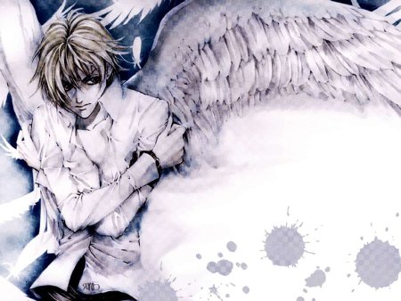 Аниме парень с крыльями