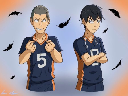 Эйс Карасуно