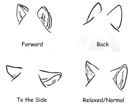 Волчьи уши рисование