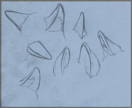 Уши лисы референс