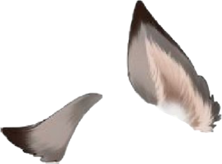 Гача лайф хвост волка