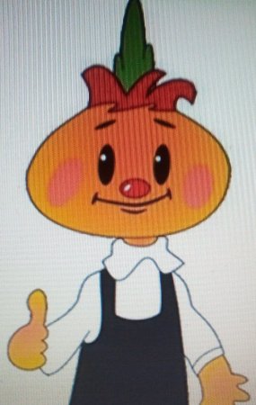 Чиполлино редиска